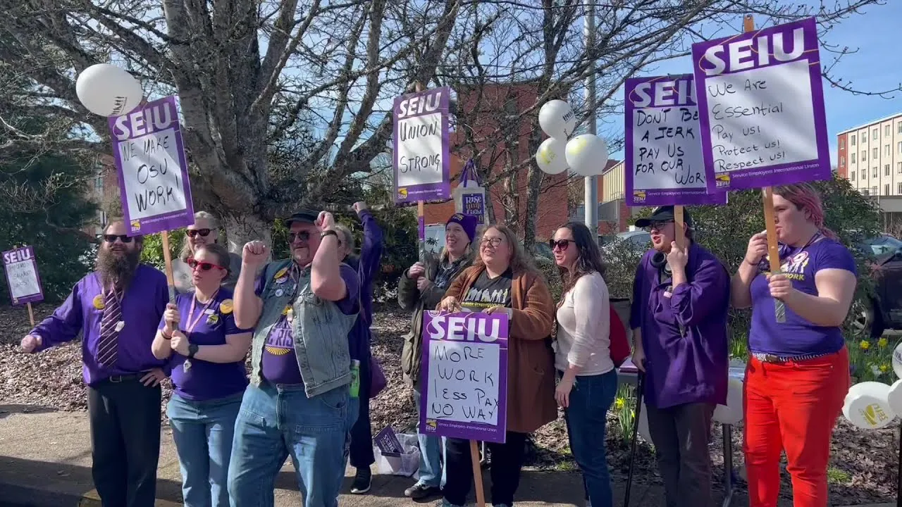 SEIU 503 Union Logo